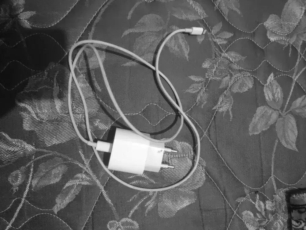 Charger IPHONE ORIGINAL NO MINUS