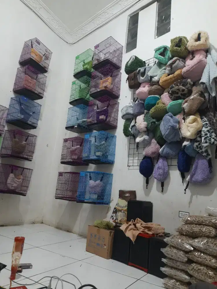 Jual sugarglider dan aksesoris