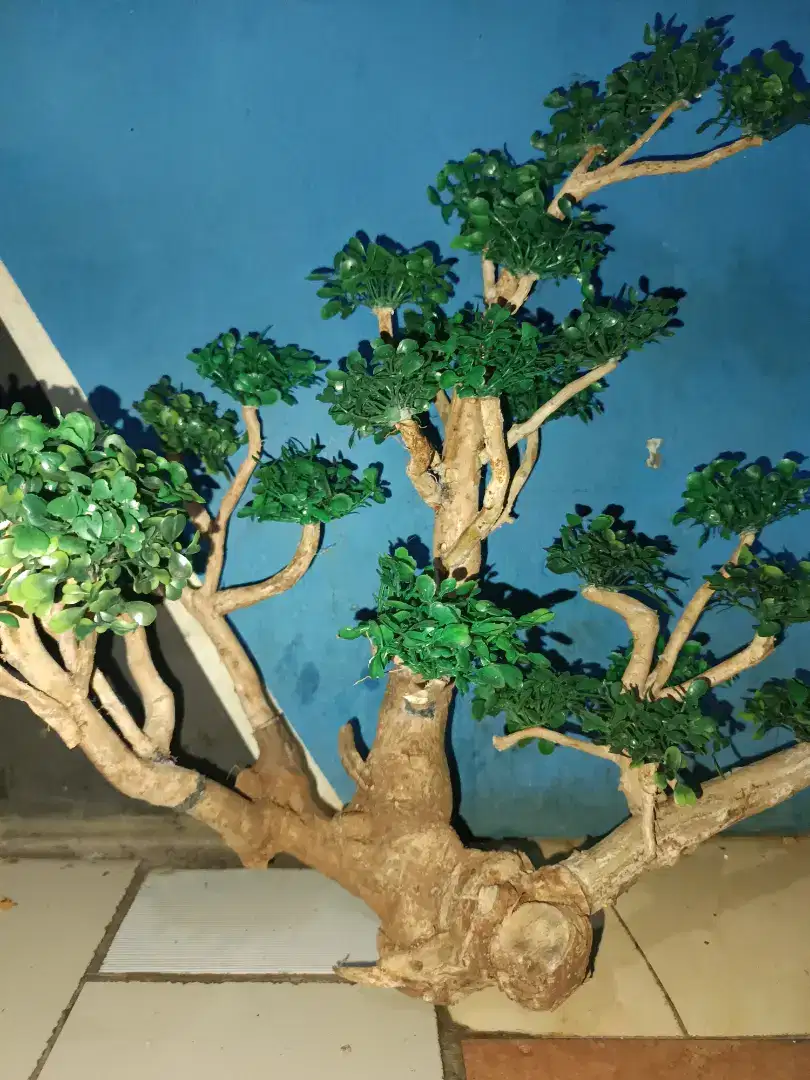 Ready kak pohon bonsai artificial batang seggani