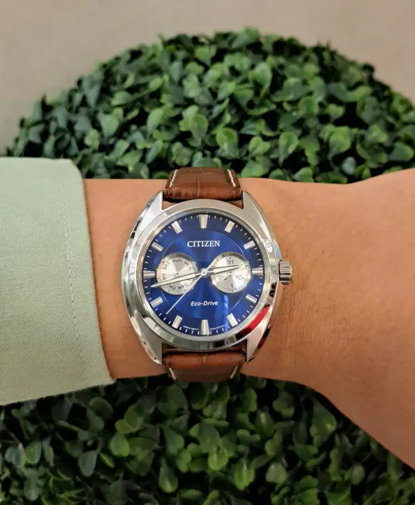 Citizen Eco-Drive Paradex BU4010-05L