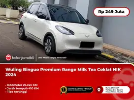 [ JARAK TEMPUH 410 KM ] Wuling Binguo Premium Range Coklat 2024 2025