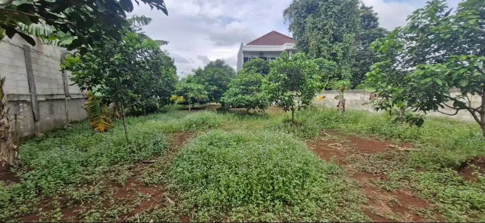 Jual Tanah dan Kebun Datar Pakansari Cibinong