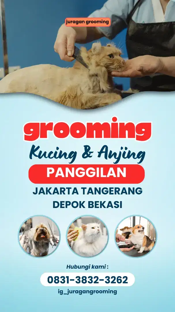 JURAGAN GROOMING CAT&DOG PANGGILAN BEKASI