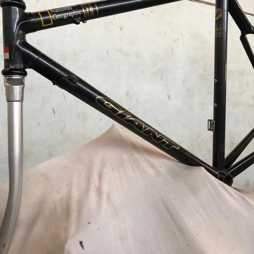 frameset giant cadex cfr 1