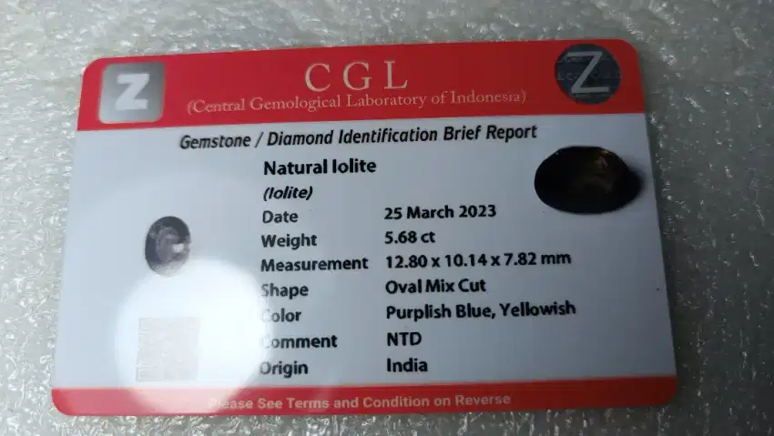 Natural Bi-Color iolite Istimewa dan langka Memo CGL