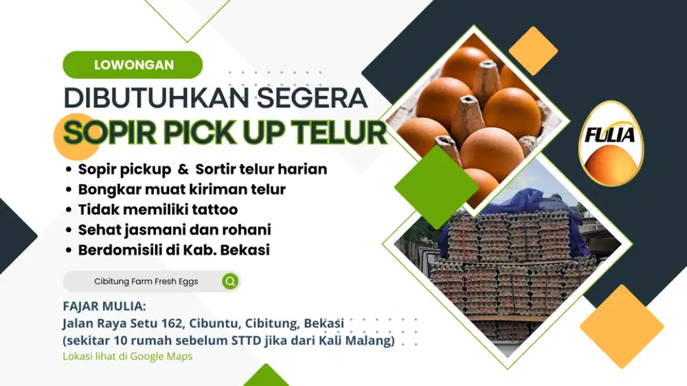 LOWONGAN DICARI SOPIR PICKUP TELUR