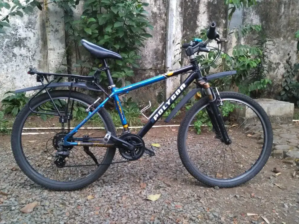 polygon premiere premium