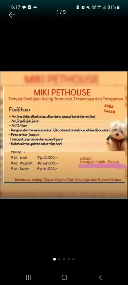 PENITIPAN ANJING RUMAHAN