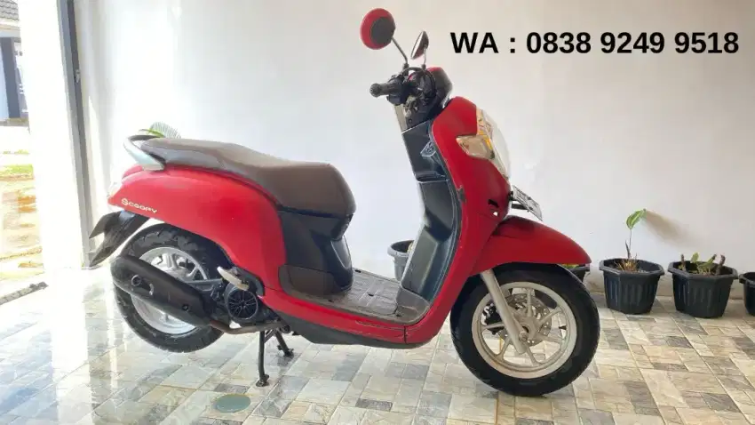 Scoopy Stylish 2020