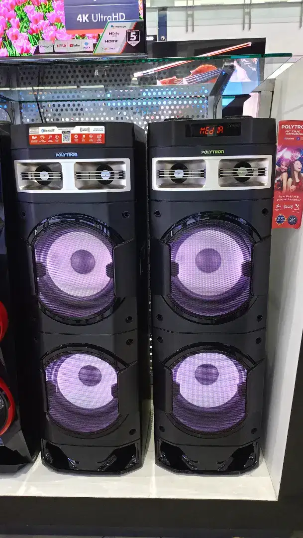 Speaker Polytron