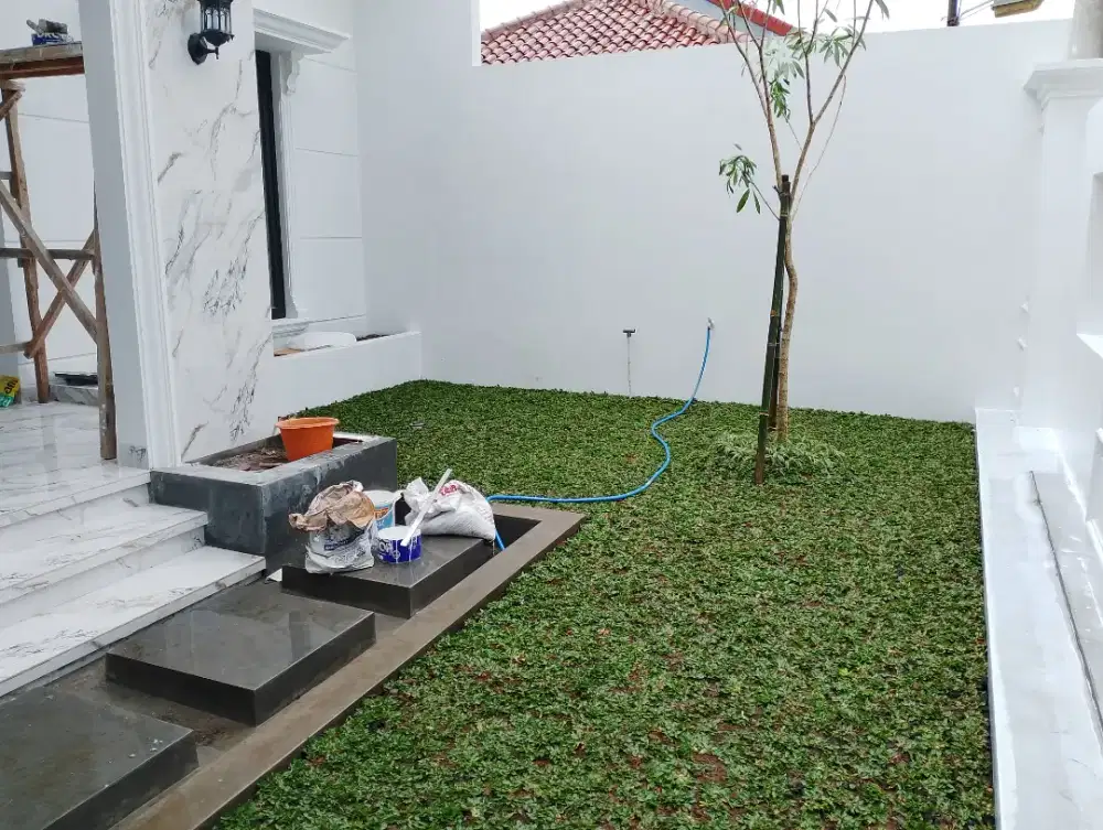 Rumput taman plus pasang gajah mini