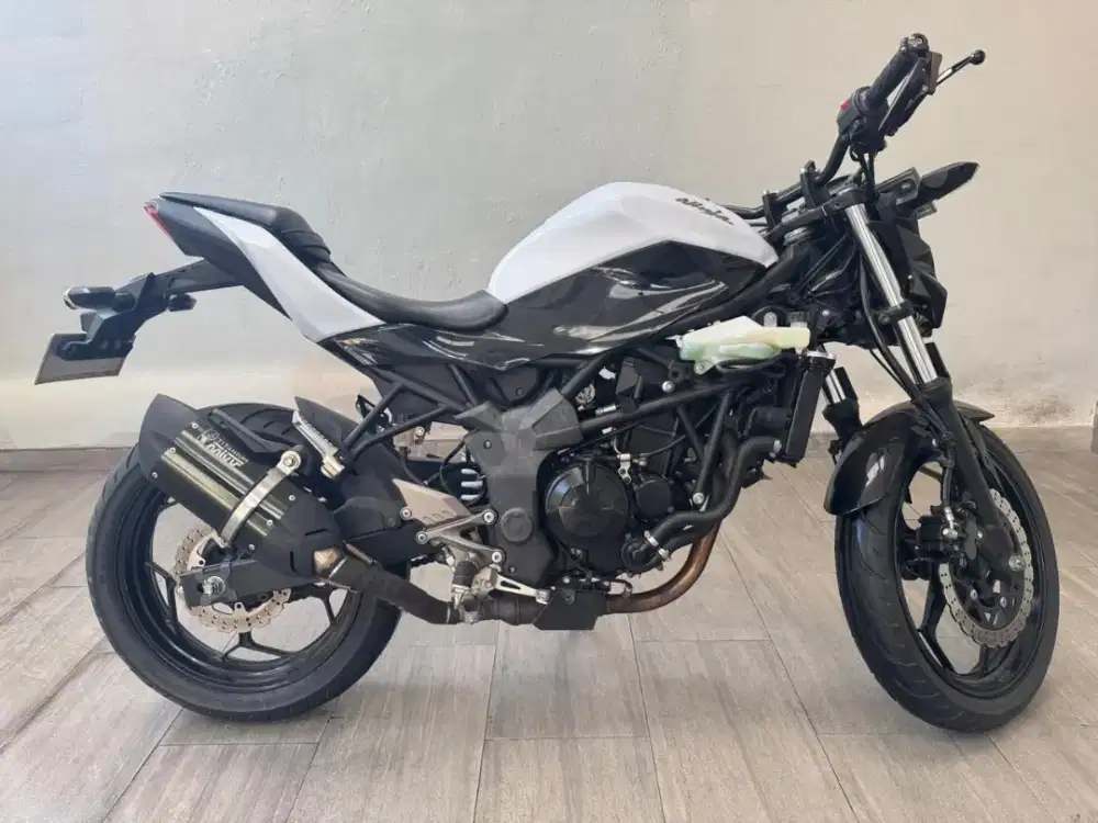 Kawasaki Ninja 250 Mono