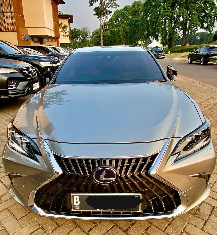 Lexus Es300 Hybrid 2022 ultra luxury es300h 2021 es300h 2023 sonic low