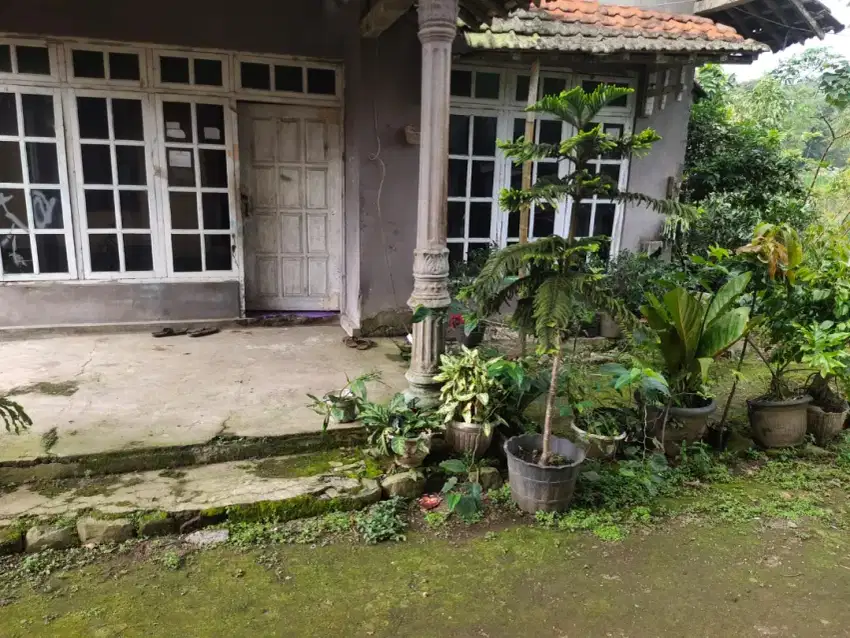 tanah bonus rumah di deket telomoyo