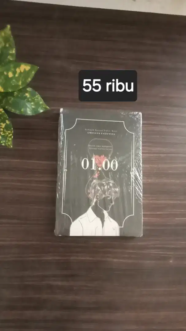 Buku novel 00,01