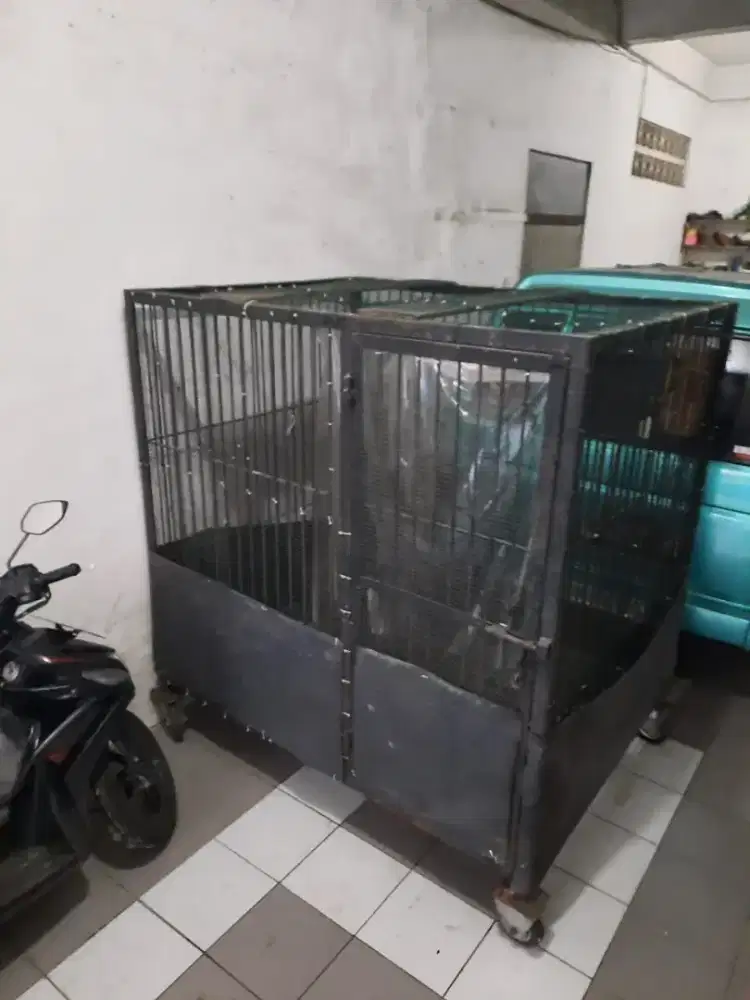 Kandang Anjing Pitbull / Herder / Rottweiler / Doberman