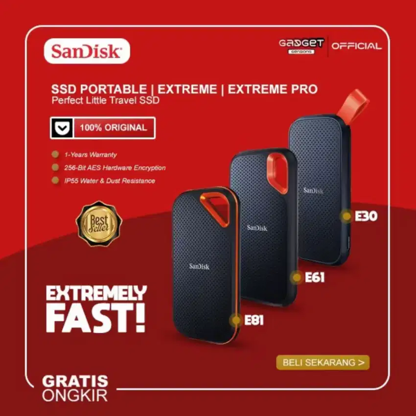 HARDISK SSD 2 UNIT KAP 1 TB ( E30 )