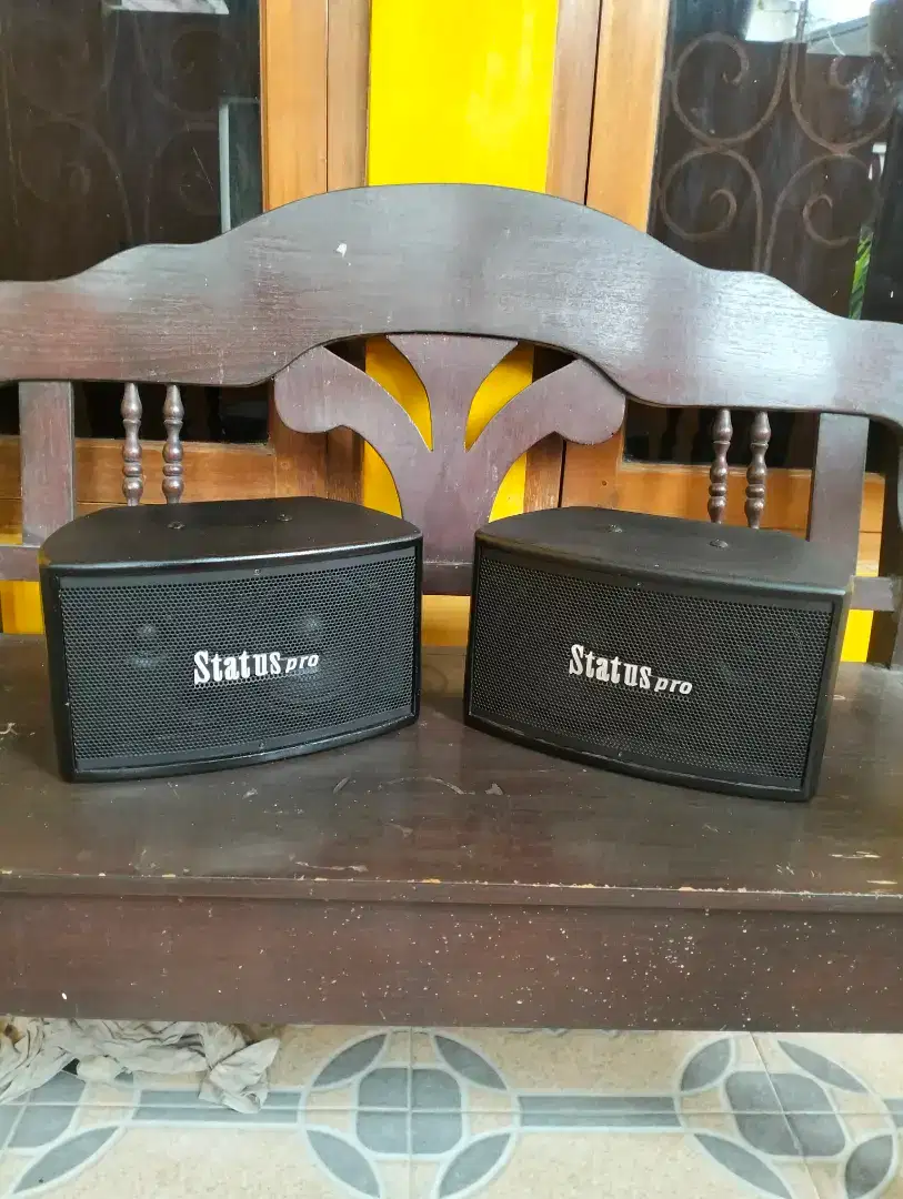 Speaker pasif status pro 6 inch