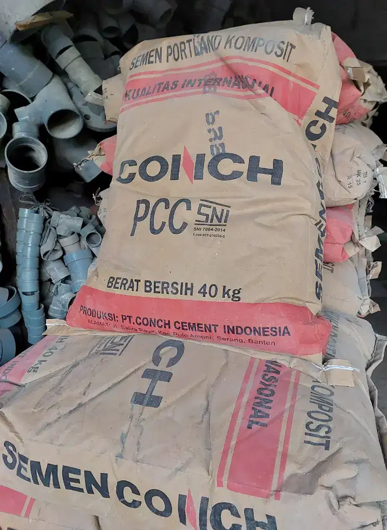 Semen Conch 40 kg Murab Siap Kirim
