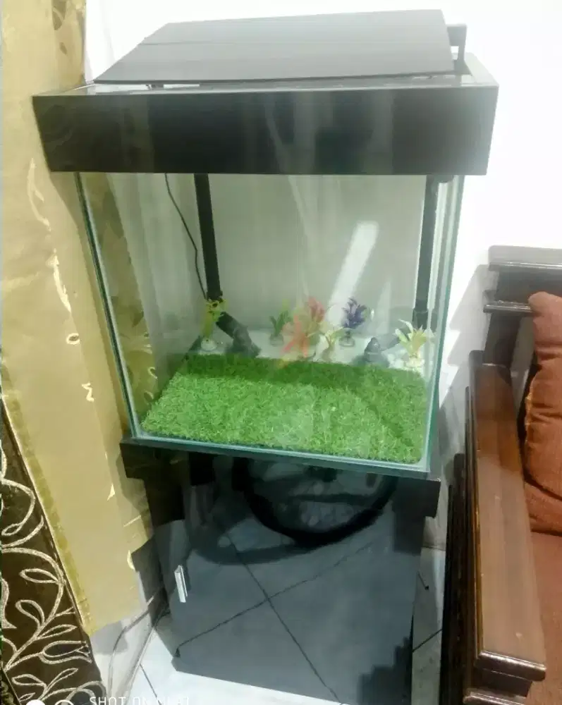Aquarium tempat ikan