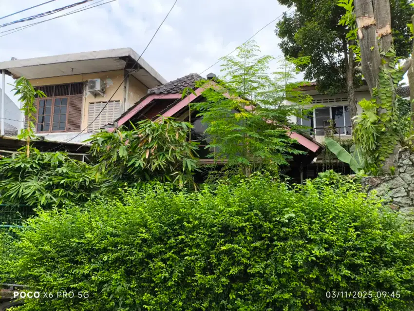 Rumah Behape, Luas dan Teduh