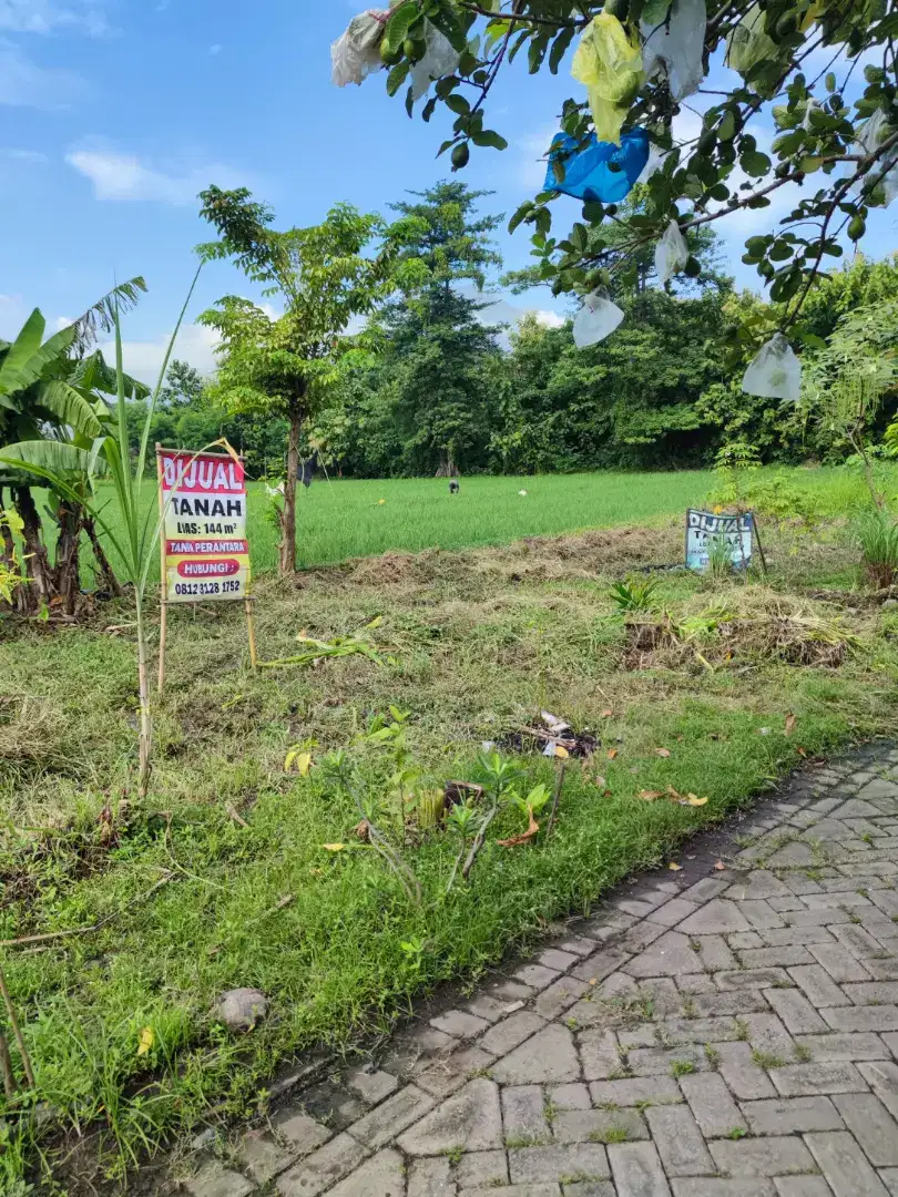 Dijual tanah kejapanan gempol pasuruan