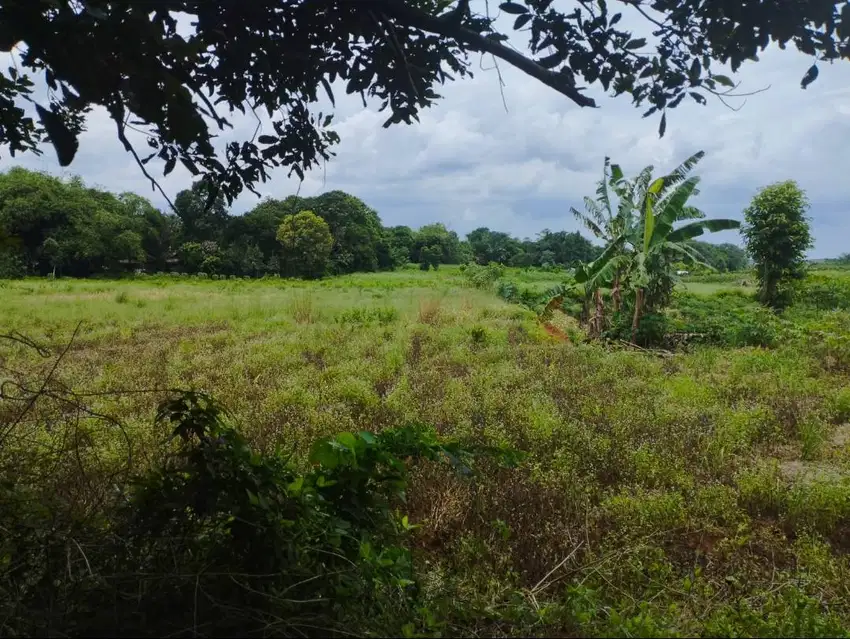 Dijual Tanah di Ragemanunggal Setu Bekasi