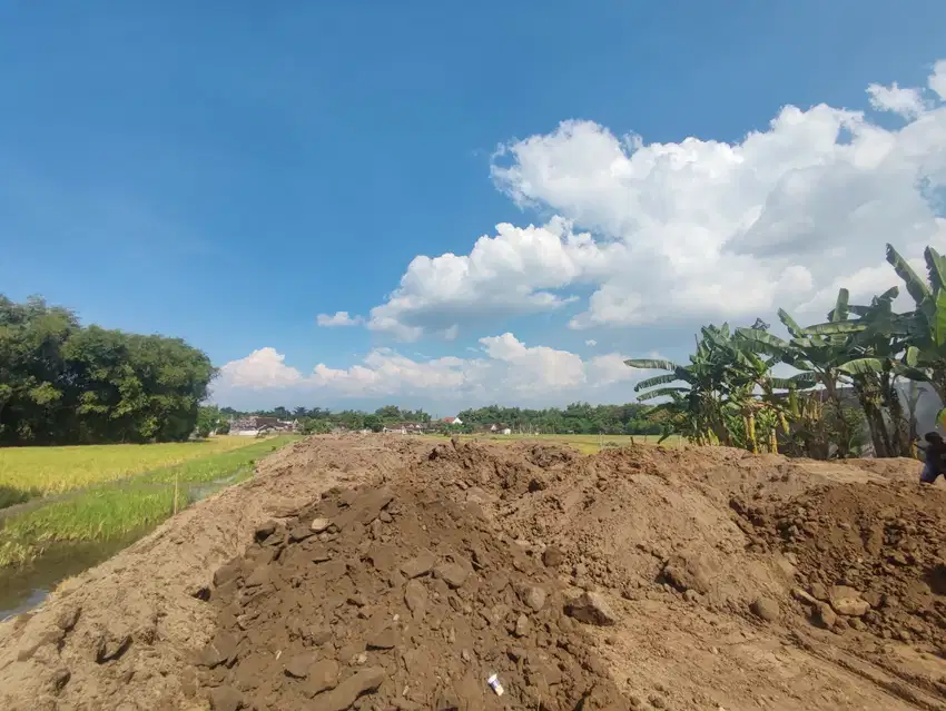 Hunian Nyaman di Pusat Kota, Lingkungan Masih Asri