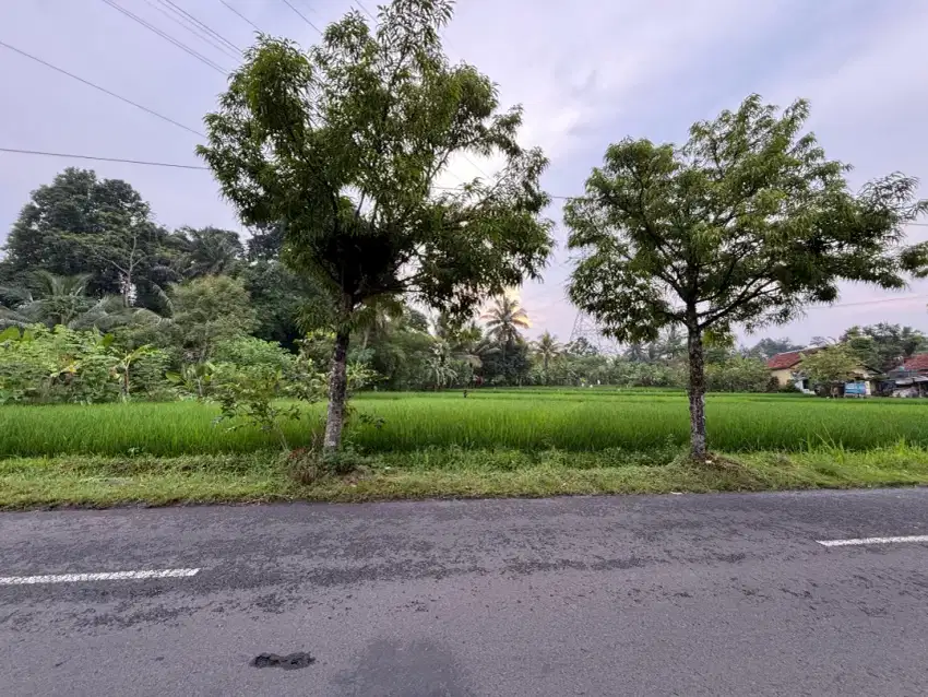 Jual Tanah 13,5 Bata Pinggir Aspal Rancapetir 900m ke Alun-alun