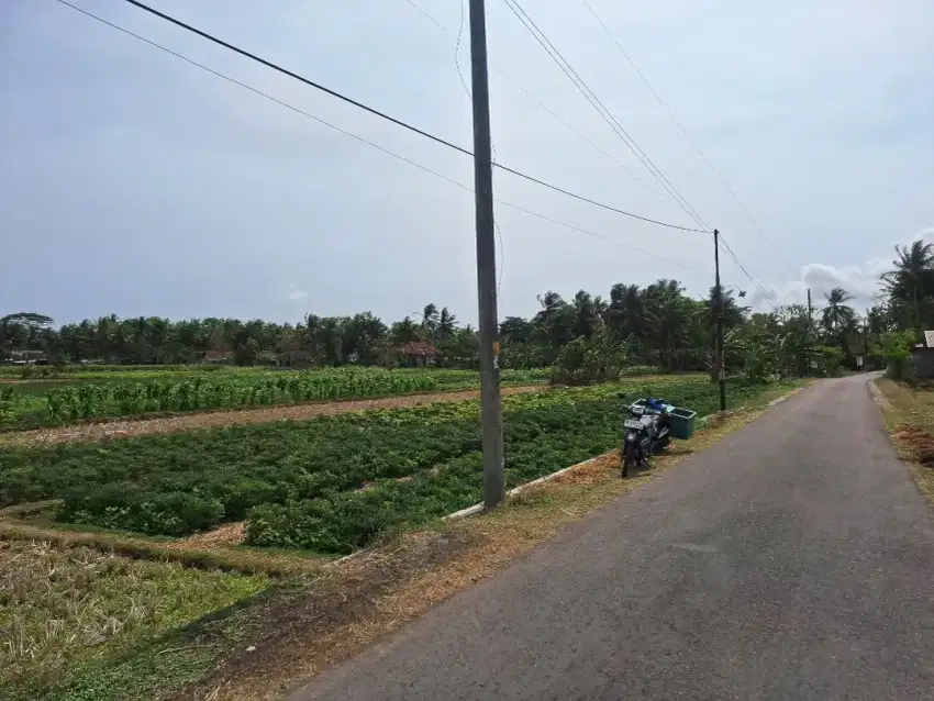 DIJUAL TANAH SAWAH