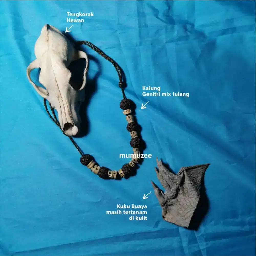 SEPAKET AKSESORIES TULANG TENGKORAK HEWAN KUKU BUAYA KALUNG GENITRI