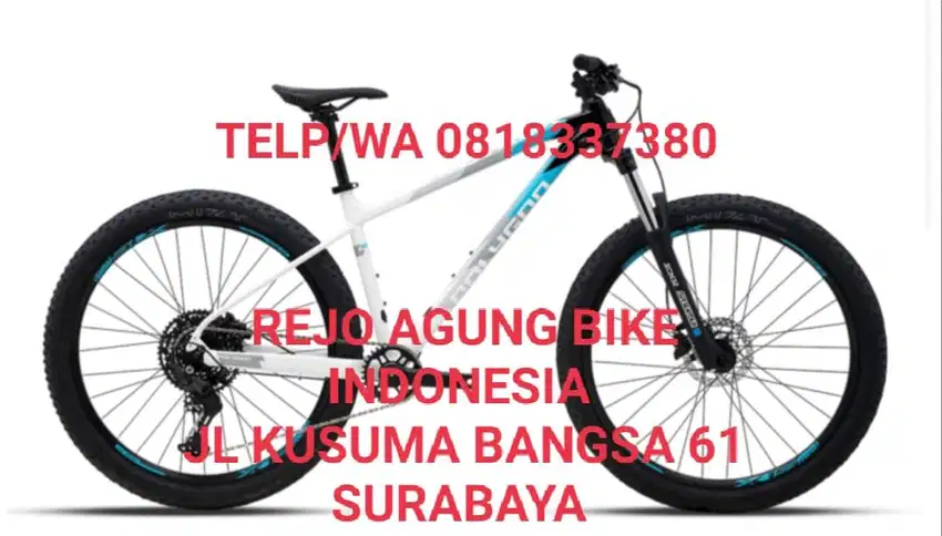 POLYGON XTRADA 5 NEW 2025
