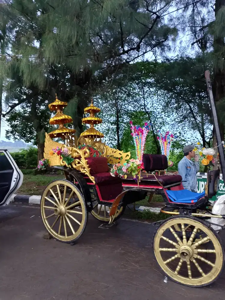 kereta kencana kuda kereta kuda acara