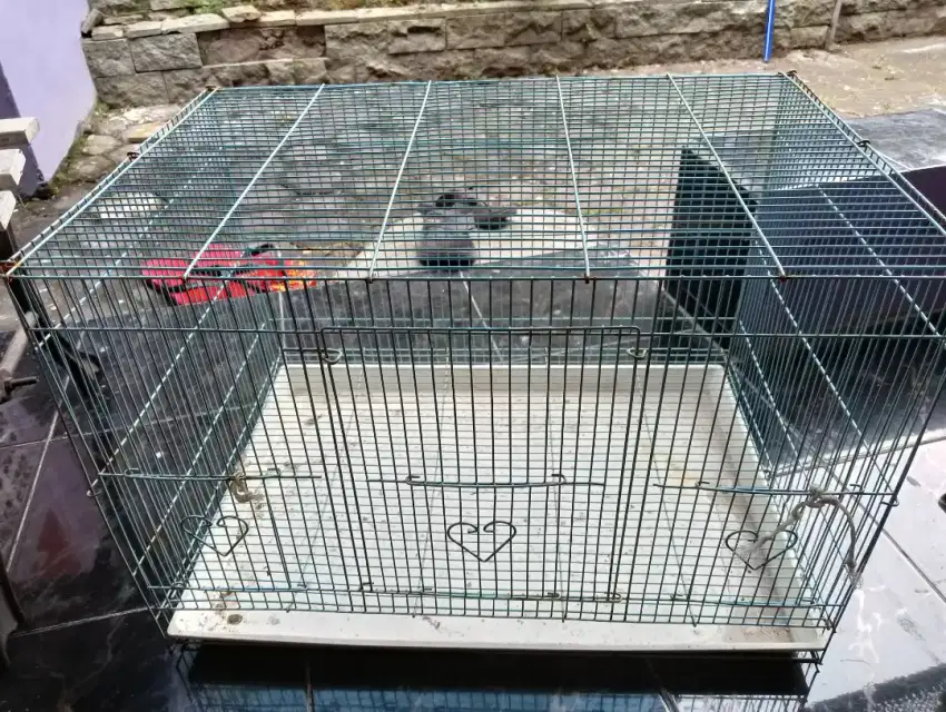 Kandang kucing 60x40x40