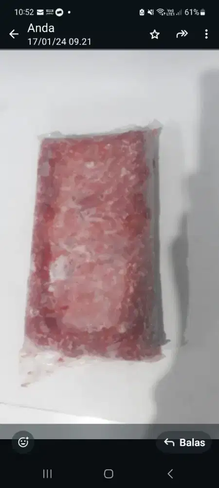 Pakan untuk hewan bisa anjing kucing dll