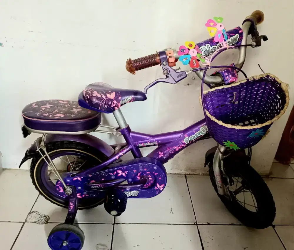 Sepeda anak family Glamour R12