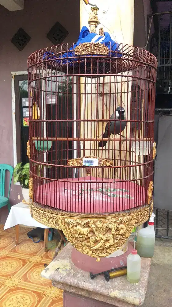 poksay hongkong gacor