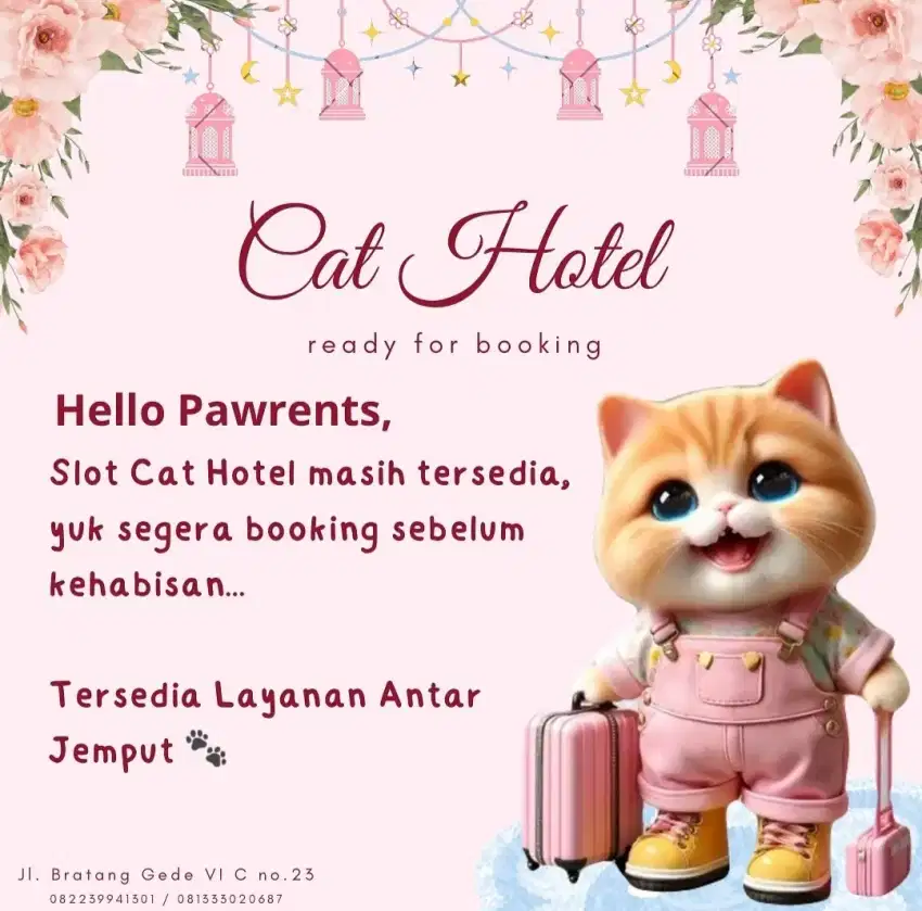 Penitipan kucing termurah Surabaya