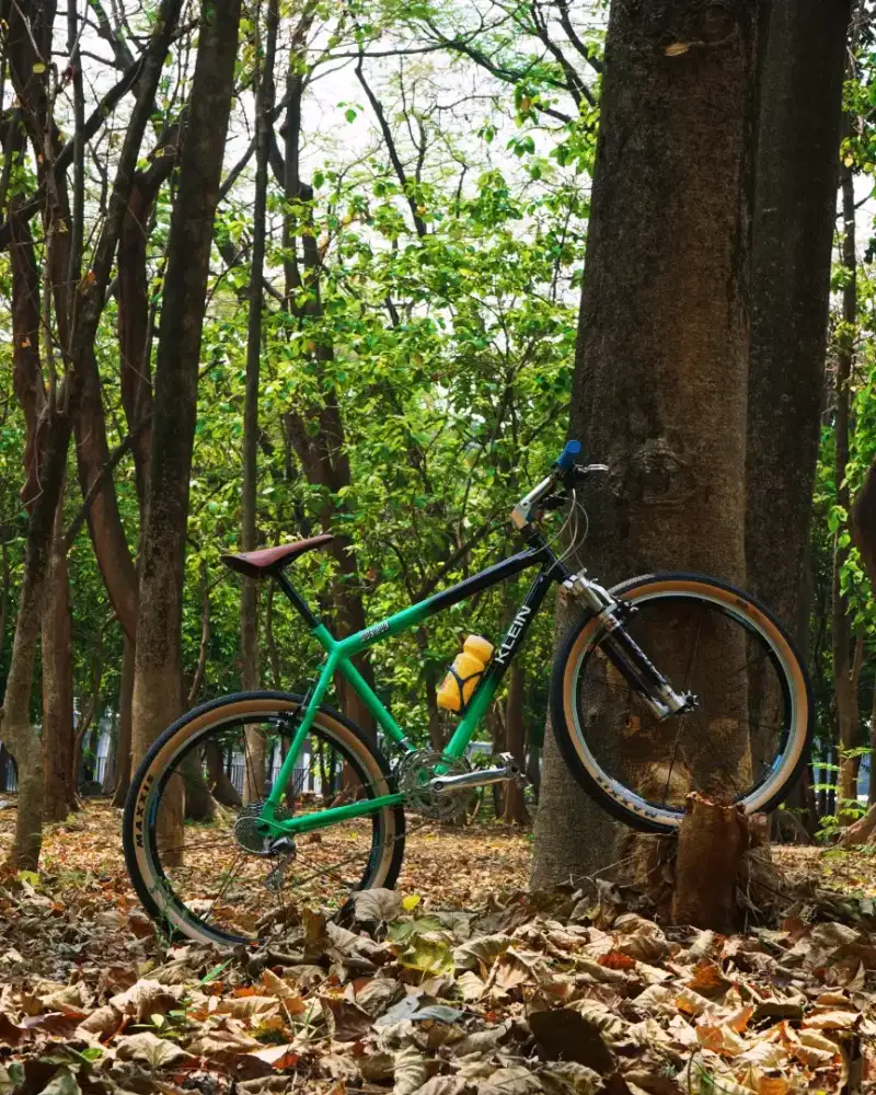 KLEIN RASCAL 1991 .(ORIGINAL FRAME PAINT&DECAL ,SIZE 19)