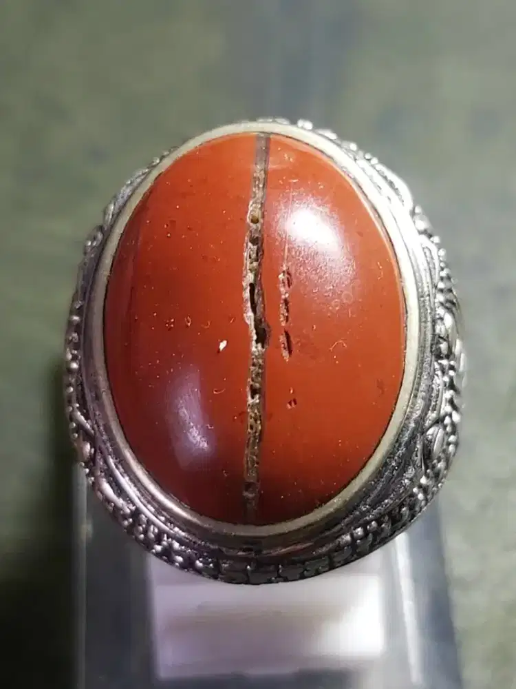 Ati Ayam Kendit
- Ring Alpaka 7