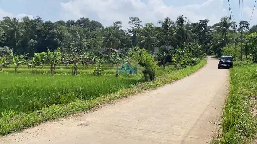 Tanah Di  Ds Kemuning, Tunjung Teja - Serang, Banten