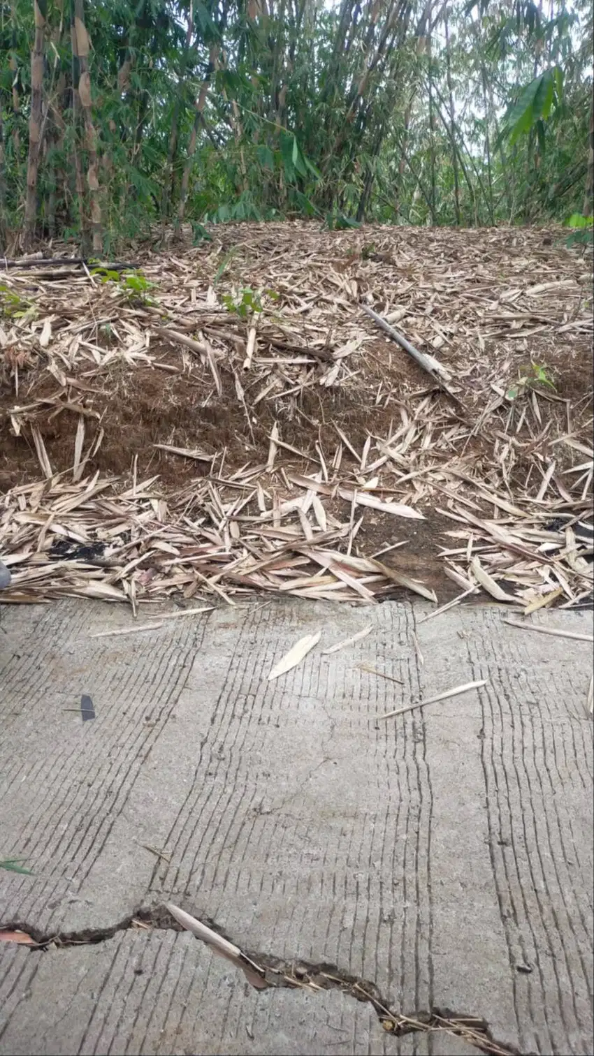 Dijual Tanah Desa Sukabungah Bojong Mangu Bekasi Jawa Barat