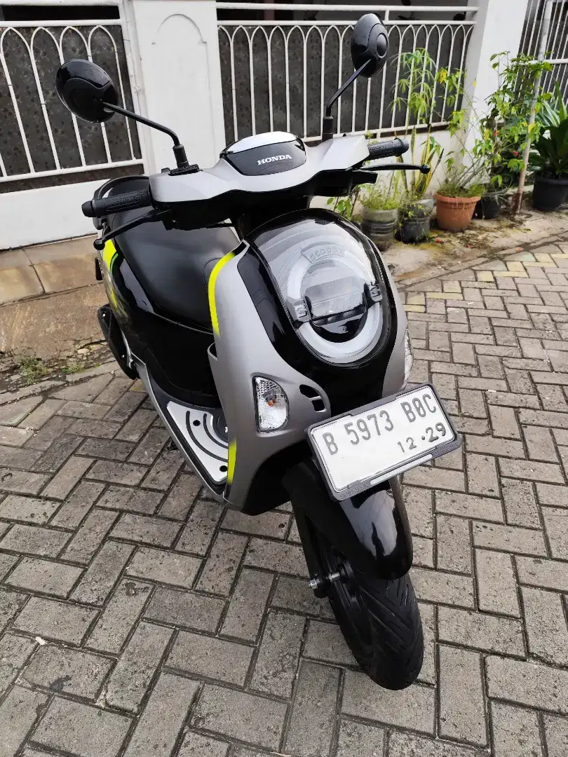 HONDA SCOOPY 2024 NEW MODEL