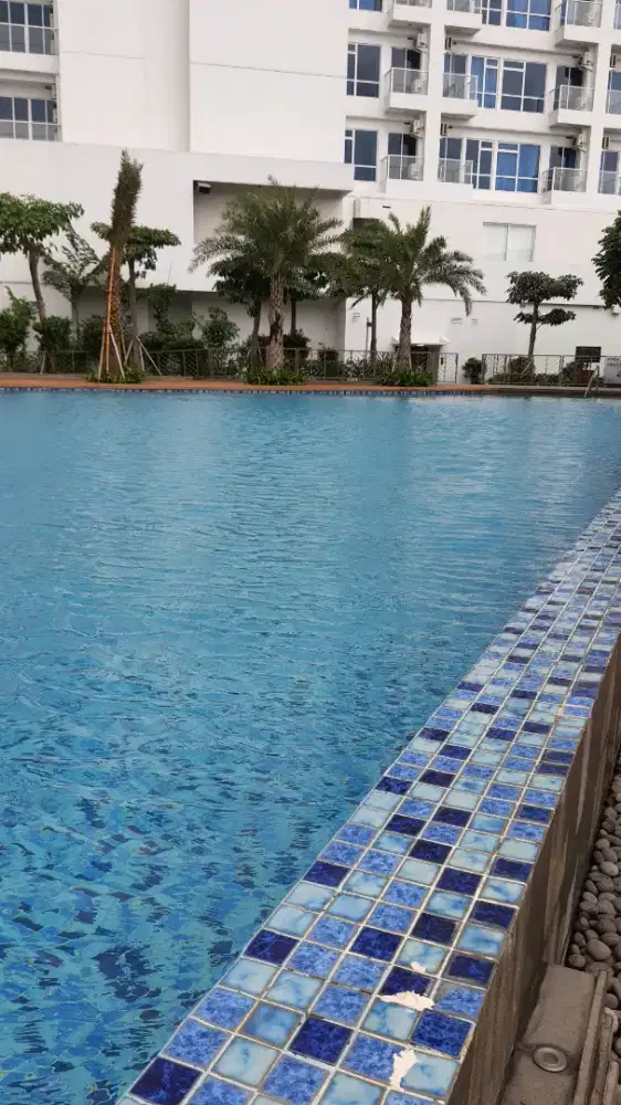 Nego Apartemen Puri Mansion Tipe Studio