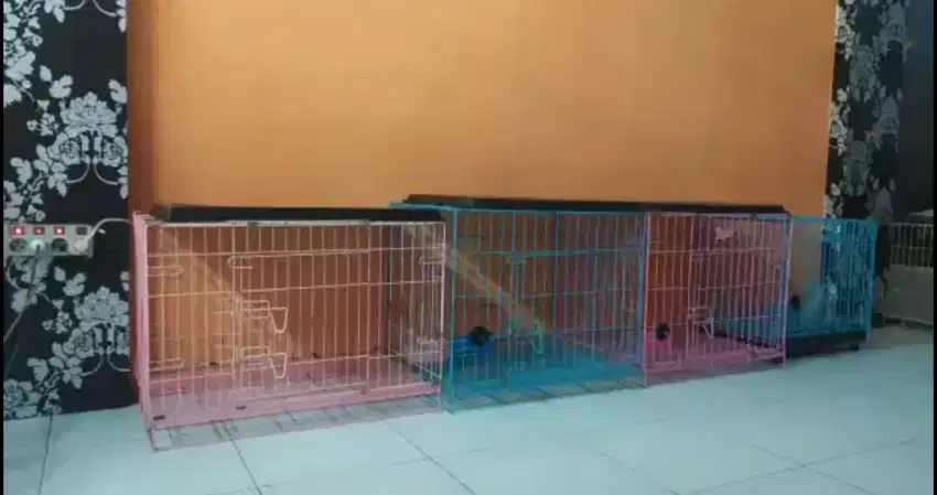 TERIMA PENITIPAN ANJING RAS SMALL & MEDIUM
