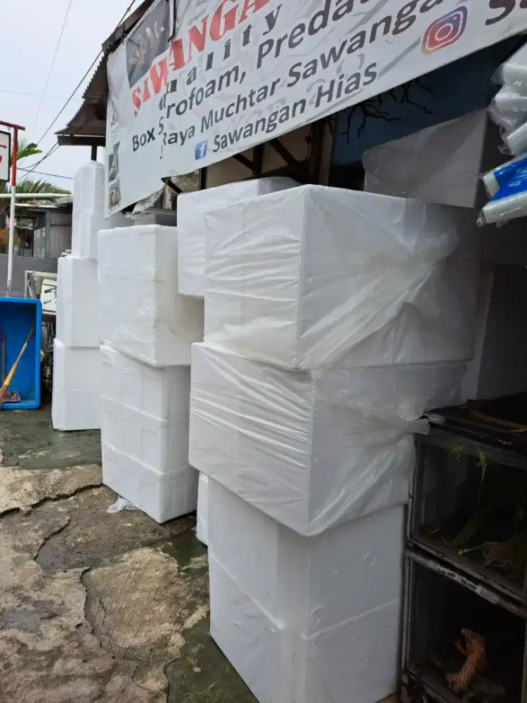 Box Styrofoam frozen Food