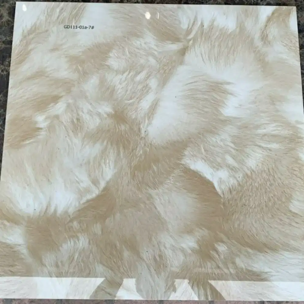 Granit 60x60 bulu kucing