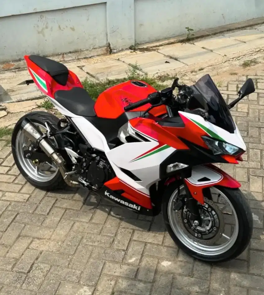 New ninja 250 fi