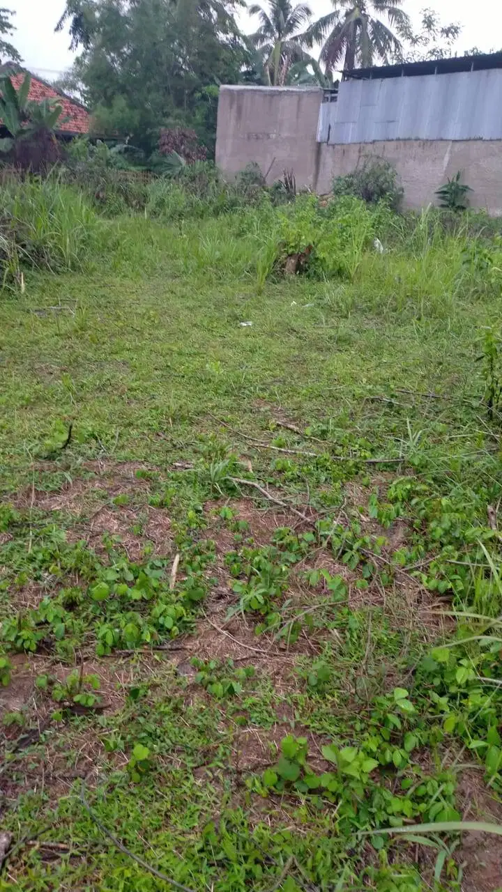 Dijual Murah Tanah Cocok Untuk Usaha di Karawang