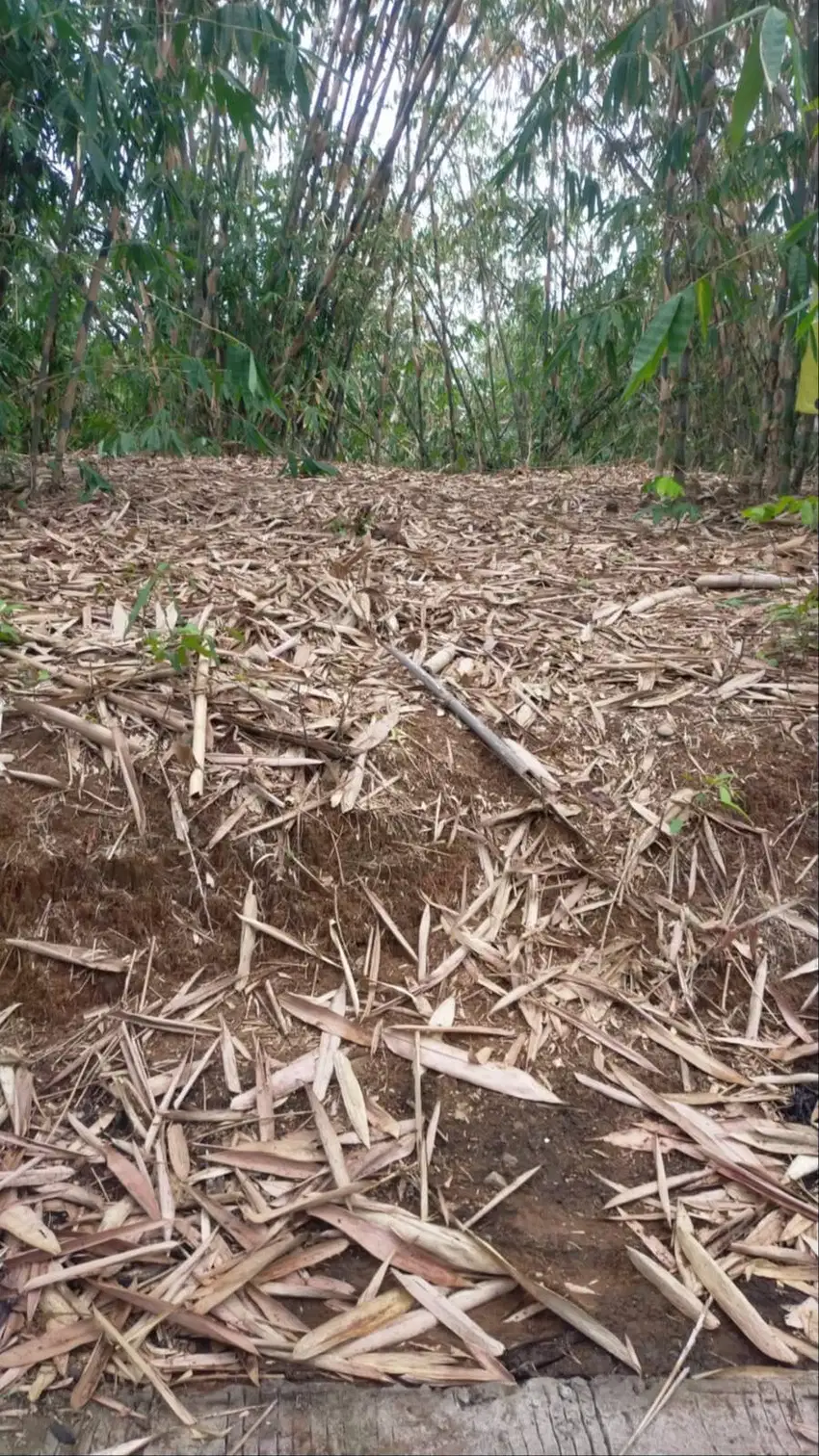 Dijual Tanah di Desa Sukubungah, Bojong Mangu, Bekasi